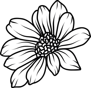 Naklejka na ścianę GERBERA 9