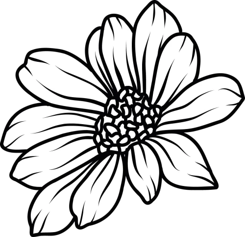 Naklejka ścienna kontur kwiatu gerbery w stylu nowoczesnym
