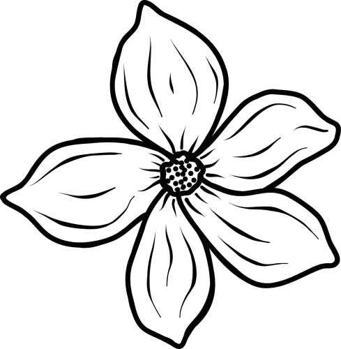 Naklejka ścienna kontur kwiatu jaśminu line art styl botaniczny