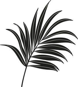 Naklejka na ścianę LIŚĆ PALMY 13