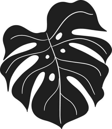 Naklejka ścienna liść monstery nowoczesny wzór botaniczny