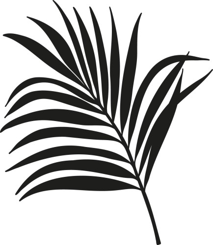 Naklejka ścienna liść palmy areka dekoracja botaniczna