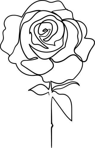 Naklejka ścienna kontur róży line art minimalistyczny wzór kwiatowy