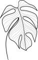 Naklejka ścienna monstera – modna dekoracja w stylu urban jungle