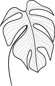 Naklejka na ścianę MONSTERA 9