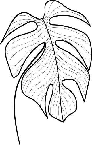 Naklejka ścienna monstera – modna dekoracja w stylu urban jungle