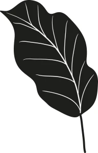 Naklejka na ścianę LIŚĆ TROPIKALNY 10