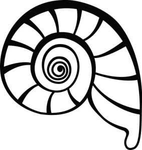 #Naklejka na ścianę Muszla 60