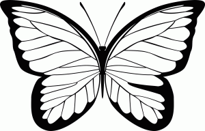 Naklejka ścienna Motyl 50