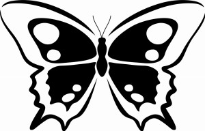 Naklejka ścienna Motyl 25