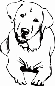 #Naklejka na ścianę Pies 77