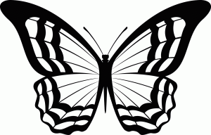 Naklejka na ścianę Motyl 49