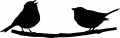 Z_10.gif