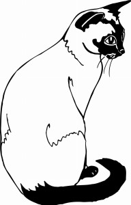 #Naklejka ścienna Kot 7