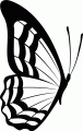 Z_41.gif