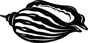 #Naklejka na ścianę Muszla 57