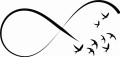 Orn_11.jpg