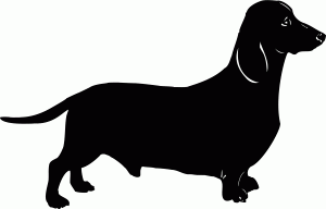 #Naklejka ścienna Jamnik 58