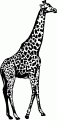 Z_38.gif