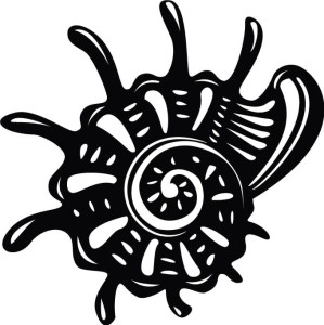 Naklejka na ścianę Muszla 64