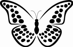 Naklejka na ścianę Motyl 27