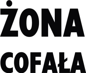 #Naklejka na auto 58