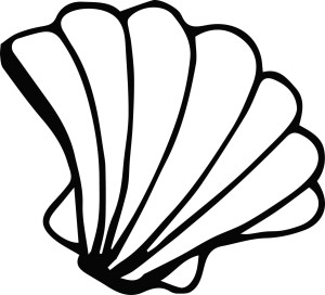 Naklejka na ścianę Muszla 69 