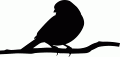 Z_48.gif