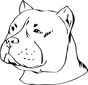 #Naklejka na ścianę Pies 63