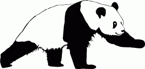 Naklejka ścienna Panda 43