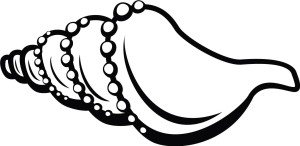 Naklejka ścienna Muszla 56