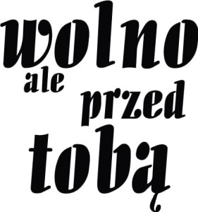 #Naklejka na auto 22