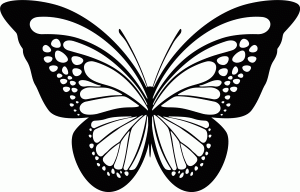 Naklejka na ścianę Motyl 55