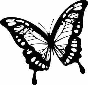 Naklejka na ścianę Motyl 43