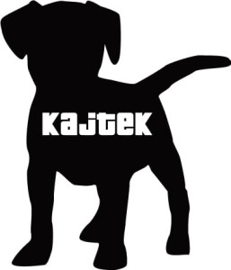 #Personalizowana naklejka na auto 97