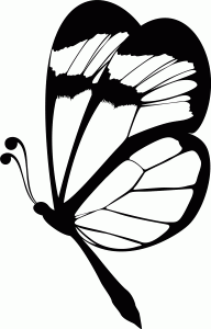 Naklejka ścienna Motyl 73