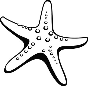 Naklejka ścienna Rozgwiazda 61