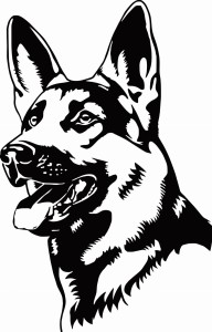 #Naklejka na ścianę Owczarek niemiecki 72