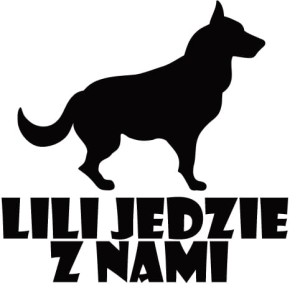 #Personalizowana naklejka na auto 99