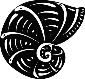 Naklejka ścienna Muszla 70