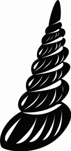 #Naklejka ścienna Muszla 59