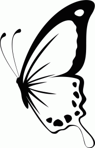Naklejka na ścianę Motyl 42